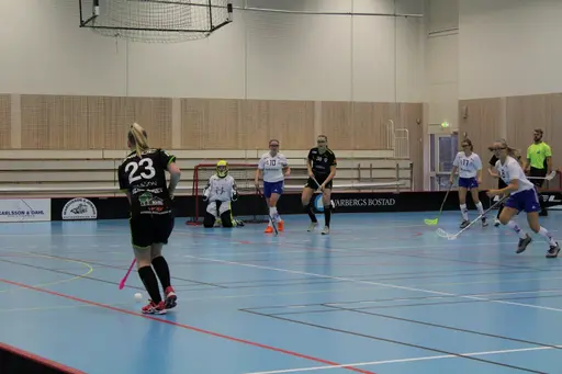 Foto: Ann Farken Ericsson