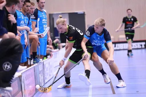 Foto: Kenneth Fridström