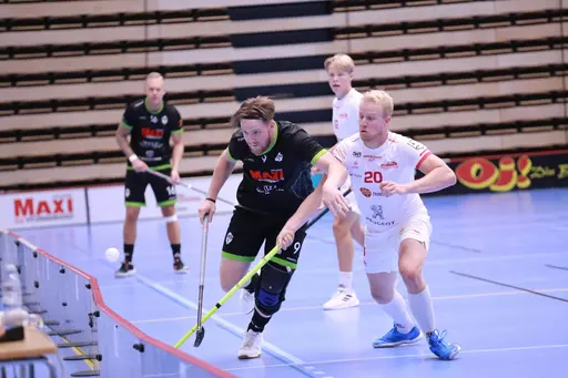 Foto: Kenneth Fridström
