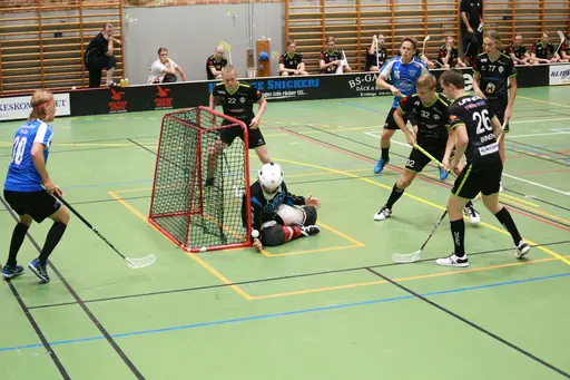 Foto: Kenneth Fridström