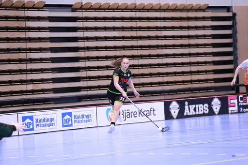Foto: Kenneth Fridström.