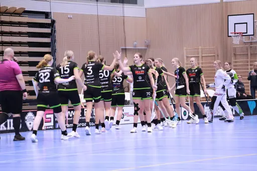 Spelarbilder från olika nivåer och lag, från Innebandyskolan upp till senior