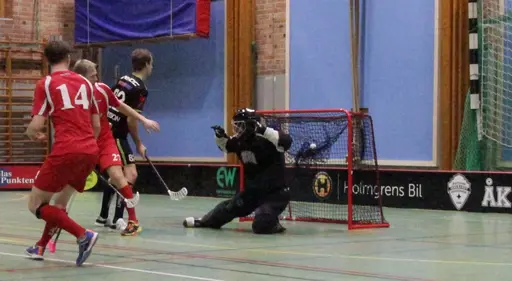 Foto: Kenneth Fridström