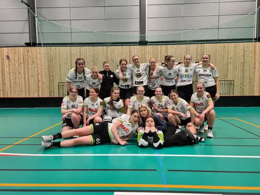 Laget och lagets lirare