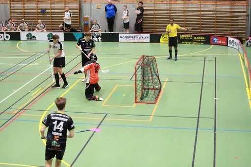 Foto: Kenneth Fridström