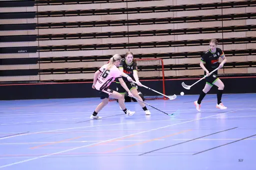 Foto: Kenneth Fridström.