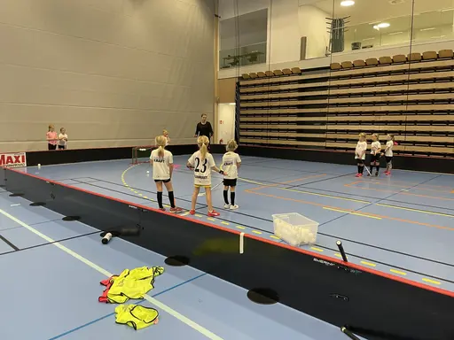 Ett riktigt härligt gäng. Flickor 15/16