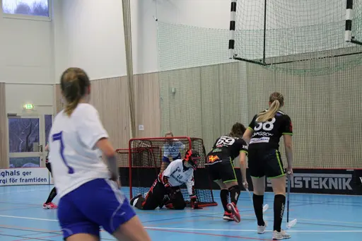 Foto: Ann Farken Ericsson