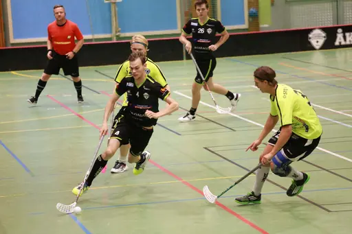 Foto: Kenneth Fridström