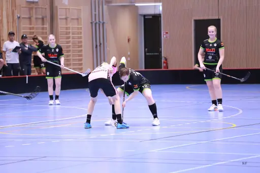 Foto: Kenneth Fridström.