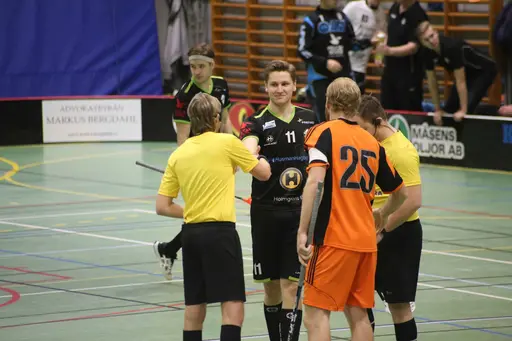 Foto Kenneth Fridström