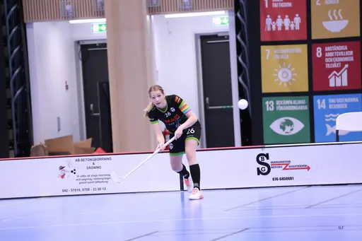 Foto: Kenneth Fridström