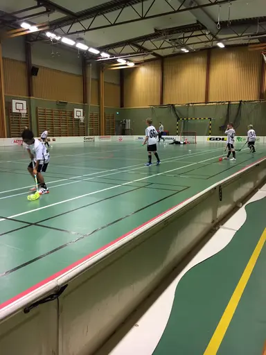 Bilder från dagens träning