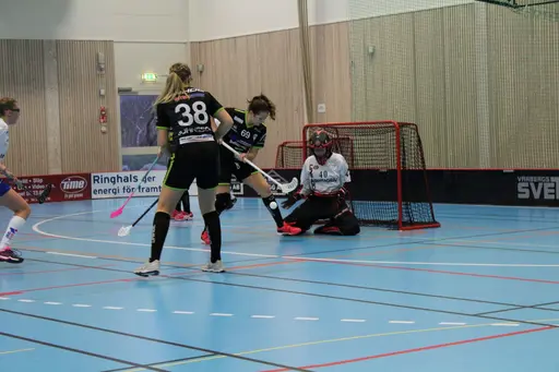 Foto: Ann Farken Ericsson