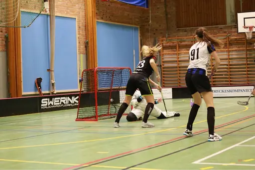 Foto: Kenneth Fridström