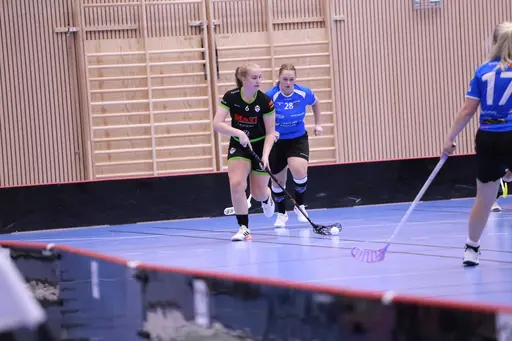 Foto: Kenneth Fridström