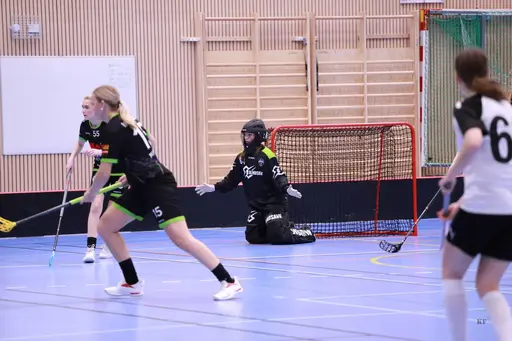 Foto: Kenneth Fridström.