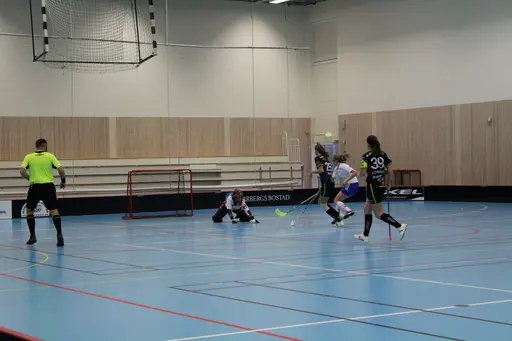 Foto: Ann Farken Ericsson