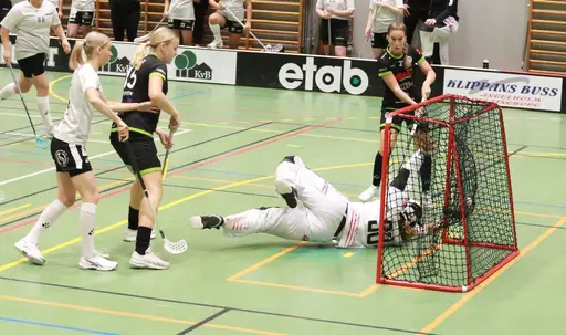 Foto: Kenneth Fridström.