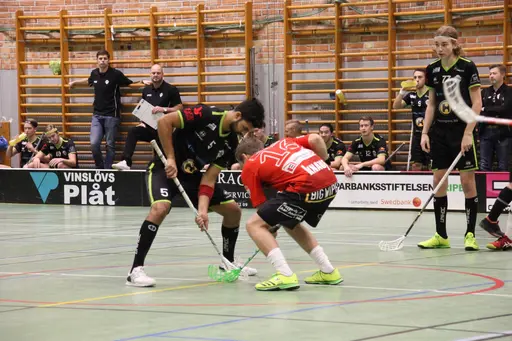 Foto: Kenneth Fridström