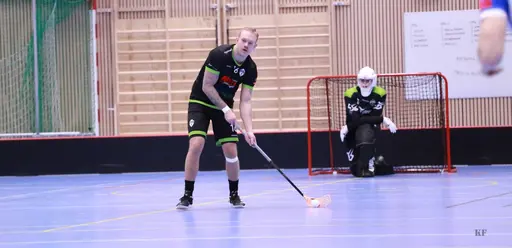 Foto: Kenneth Fridström.