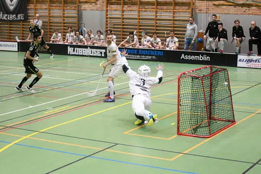 Foto: Kenneth Fridström