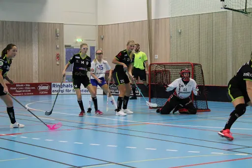 Foto: Ann Farken Ericsson