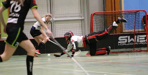 Foto: Kenneth Fridström