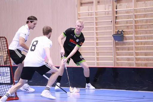 Foto: Kenneth Fridström.