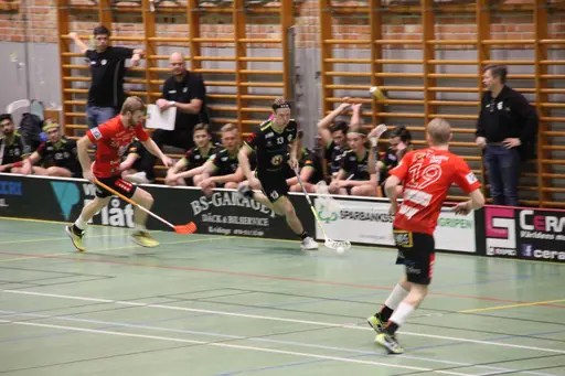 Foto: Kenneth Fridström