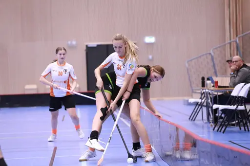 Foto: Kenneth Fridström.