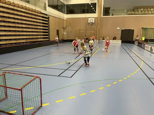 Ett riktigt härligt gäng. Flickor 15/16