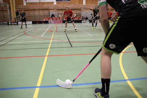 Foto: Kenneth Fridström