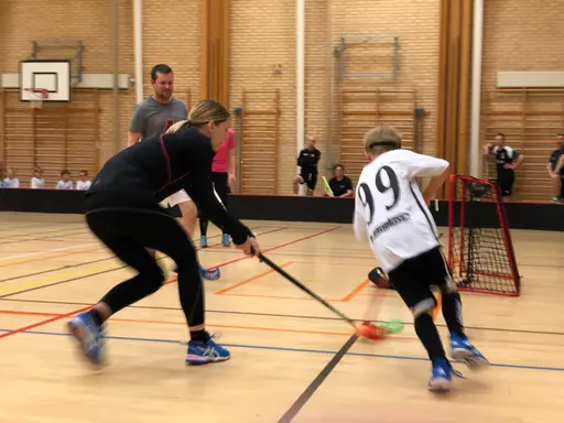 Foto: Johan Sävström