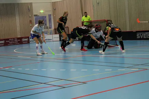 Foto: Ann Farken Ericsson