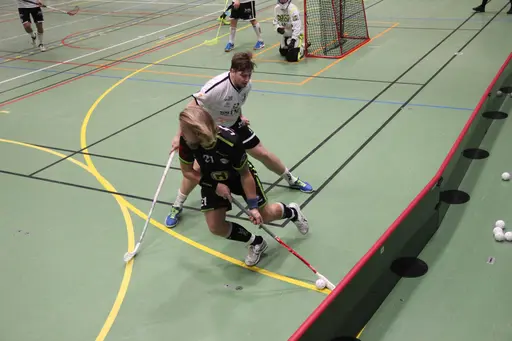 Foto: Kenneth Fridström