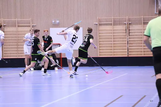 Foto: Kenneth Fridström.