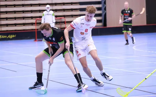 Foto: Kenneth Fridström