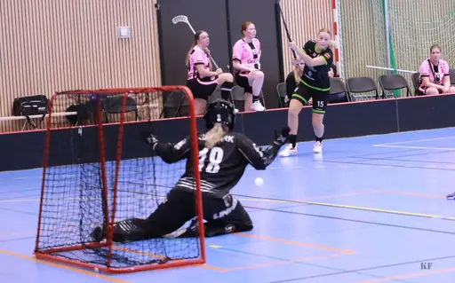 Foto: Kenneth Fridström.