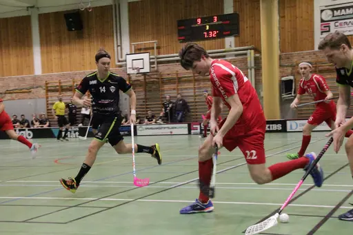 Foto: Kenneth Fridström
