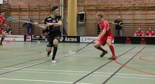 Foto: Kenneth Fridström