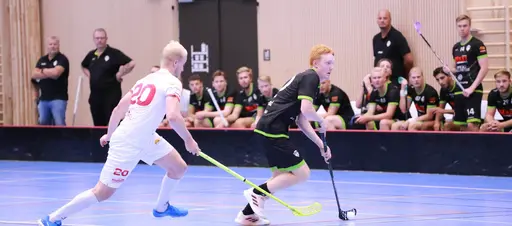 Foto: Kenneth Fridström