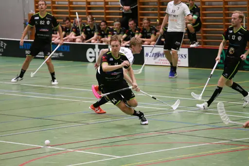 Foto: Kenneth Fridström