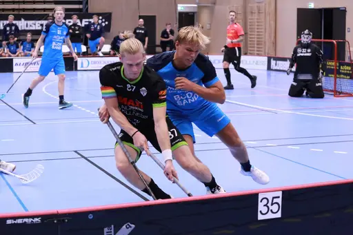 Foto: Kenneth Fridström
