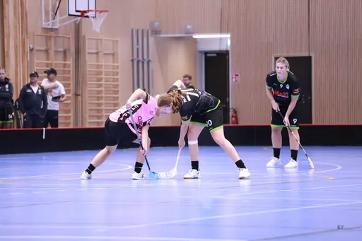Foto: Kenneth Fridström.