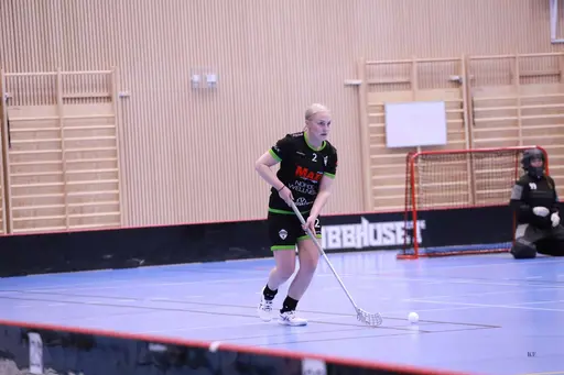Foto: Kenneth Fridström