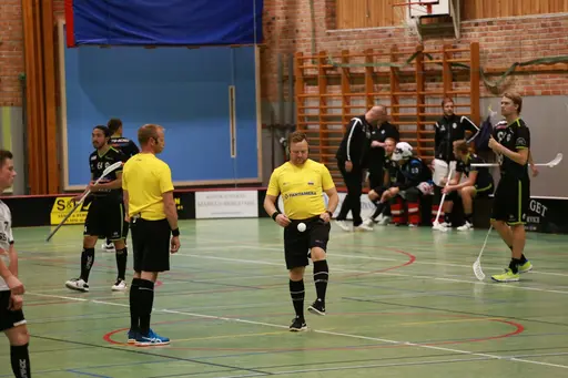 Foto: Kenneth Fridström