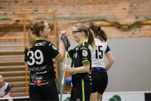 Foto: Kenneth Fridström