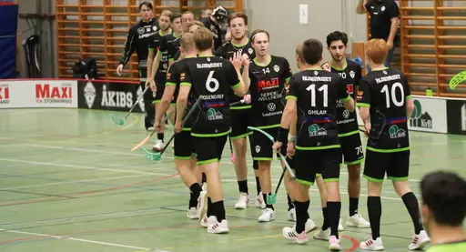 Foto. Kenneth Fridström.