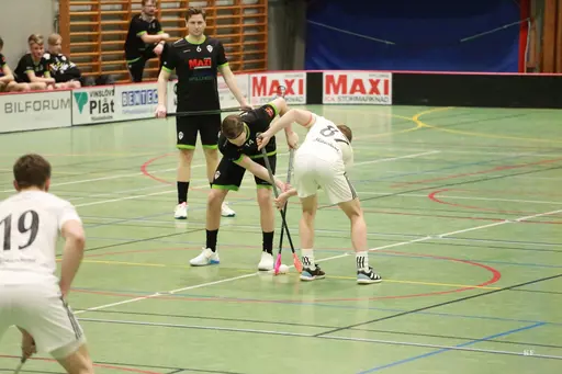 Foto: Kenneth Fridström.
